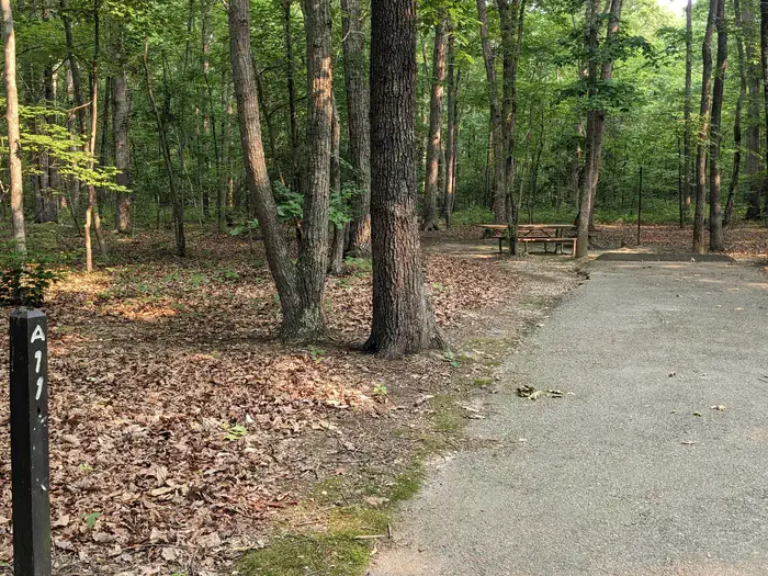 Oak Ridge Campground - Prince William Forest Park