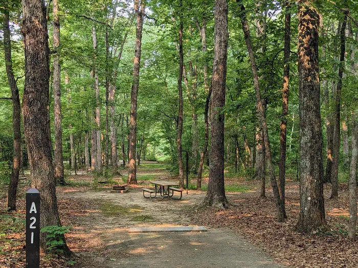 Oak Ridge Campground - Prince William Forest Park