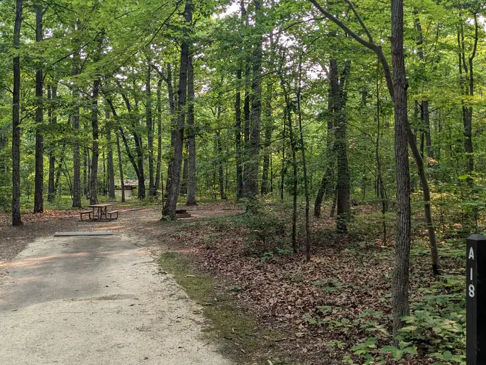 Oak Ridge Campground - Prince William Forest Park