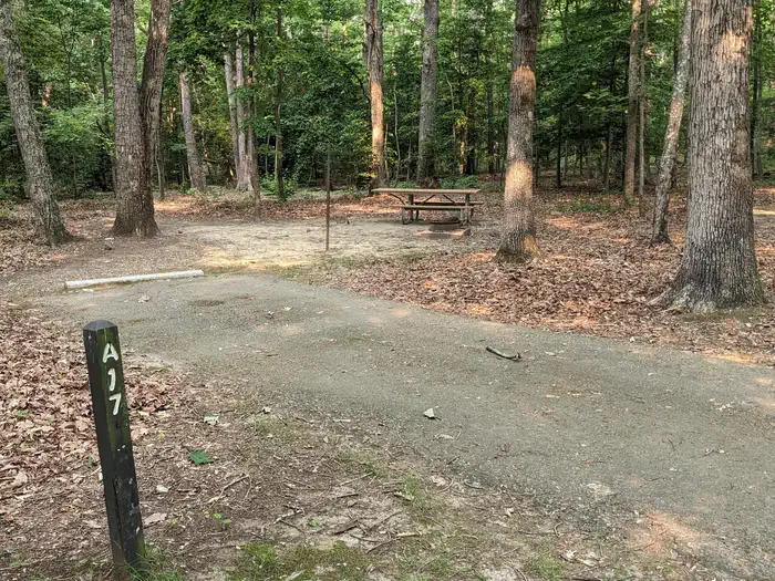 Oak Ridge Campground - Prince William Forest Park