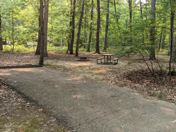 Oak Ridge Campground - Prince William Forest Park