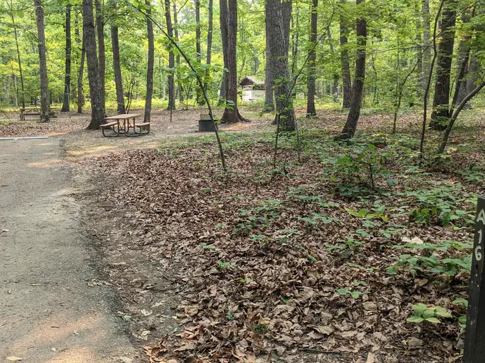 Oak Ridge Campground - Prince William Forest Park