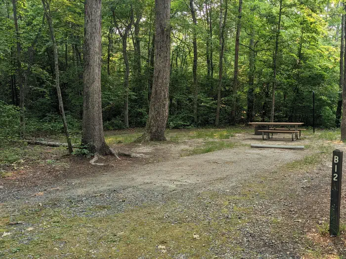 Oak Ridge Campground - Prince William Forest Park