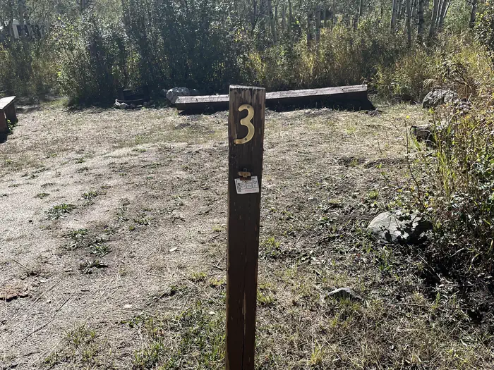 003