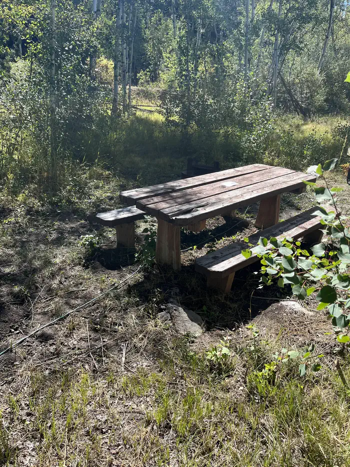 French Creek Campground (WY)