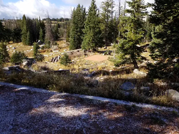 Sugarloaf Campground (WY)