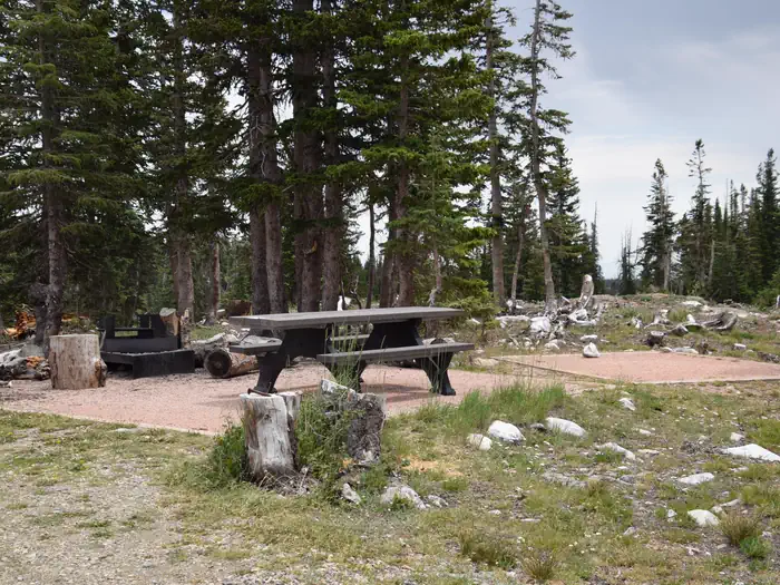 Sugarloaf Campground (WY)