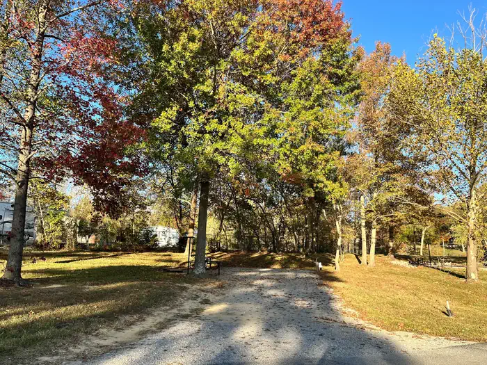 Laurel Branch