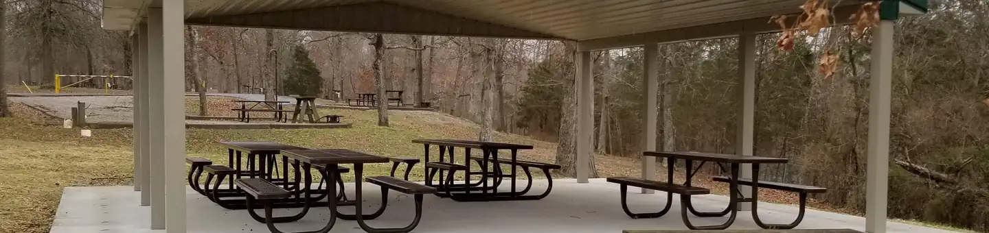 Laurel Branch