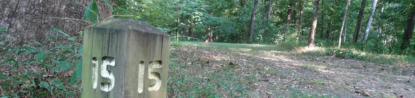 Markham Springs