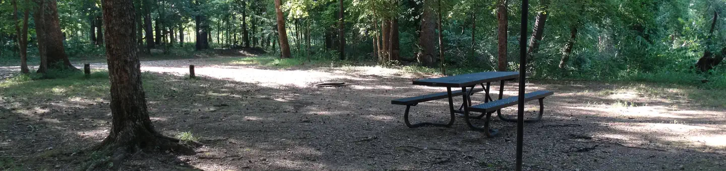 Markham Springs