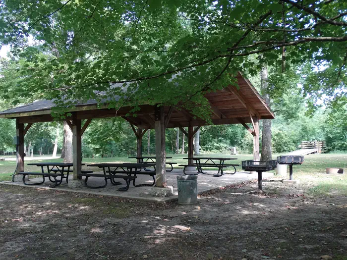 Markham Springs