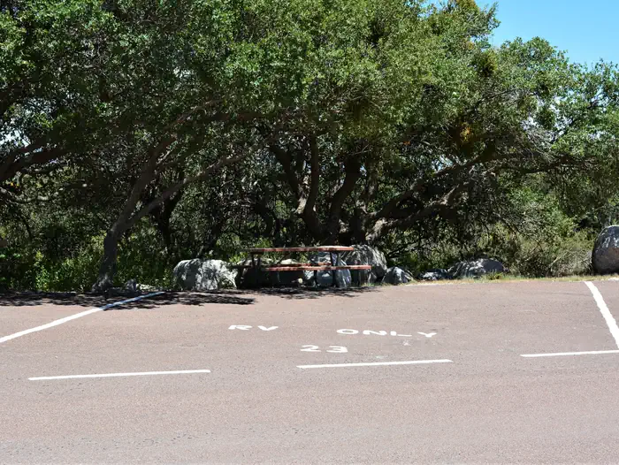Pine Springs Campground - Guadalupe Mountains National Park