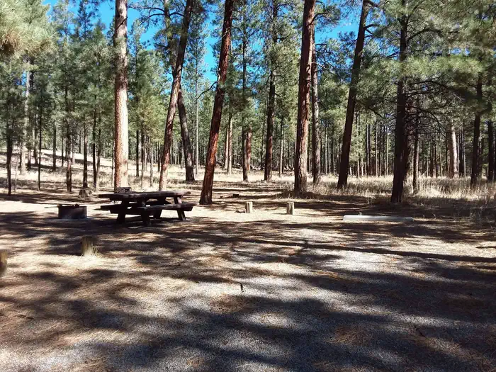 Jemez Falls Campground