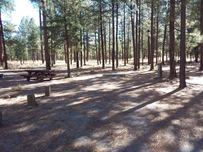 Jemez Falls Campground