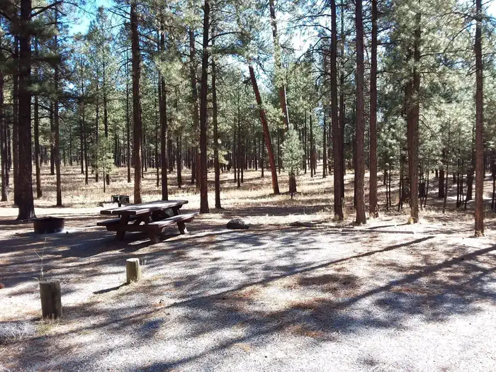 Jemez Falls Campground