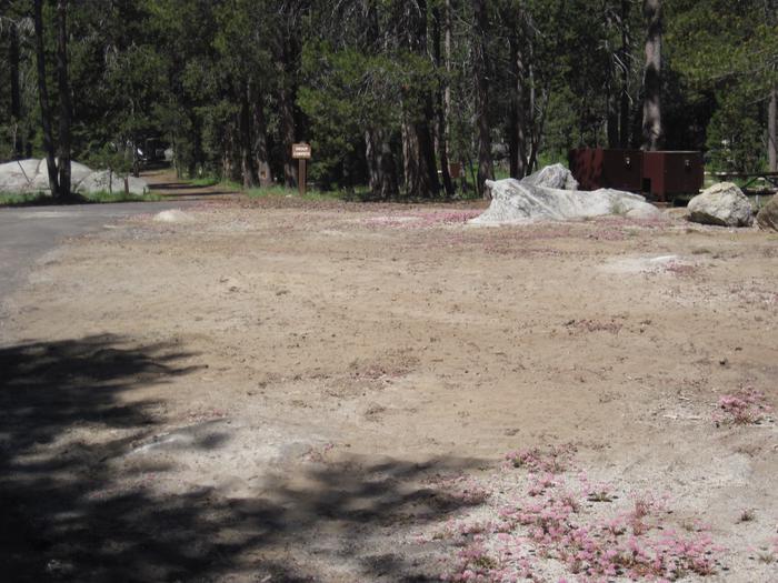 Bridalveil Creek Campground