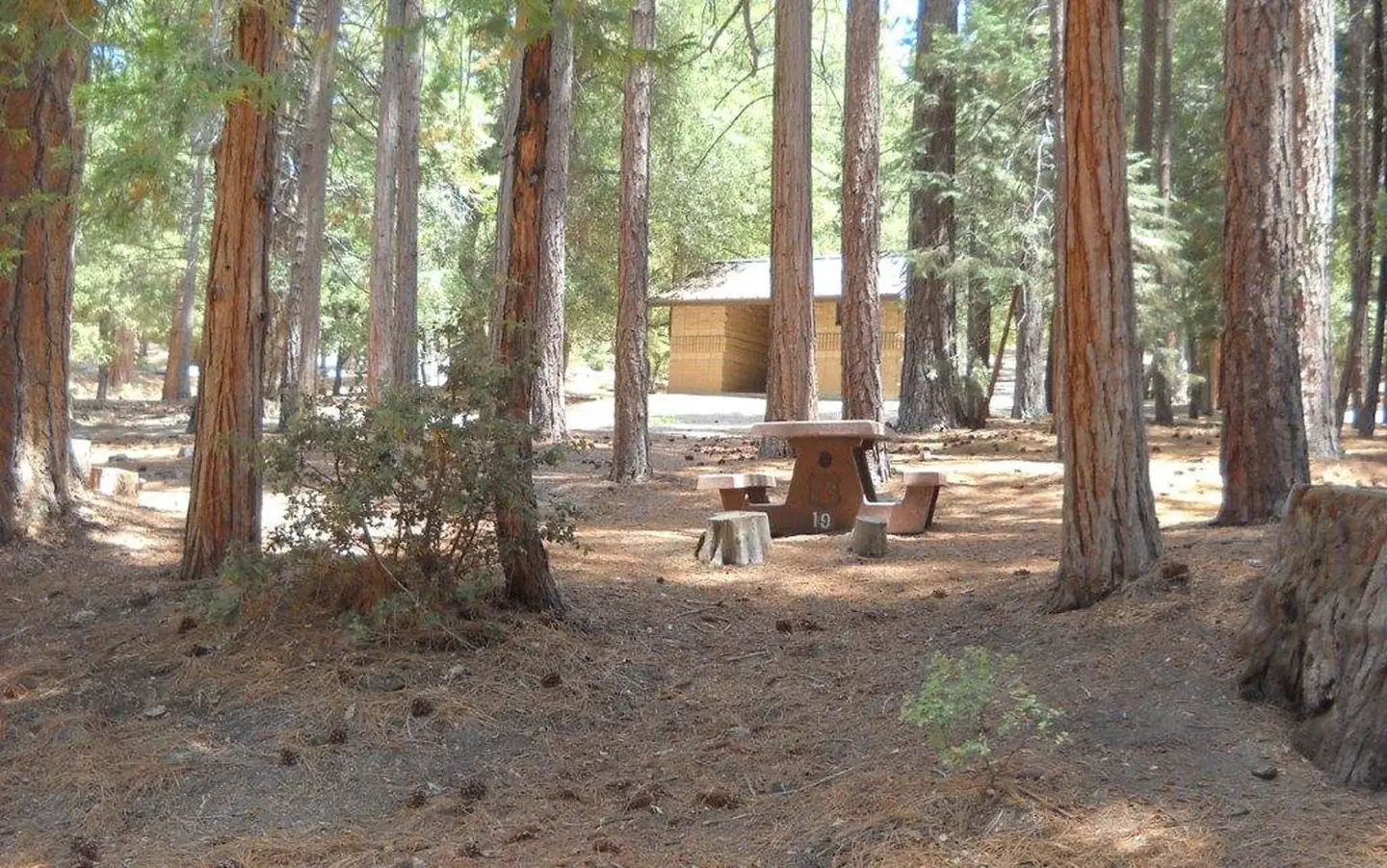 Fern Basin Campground