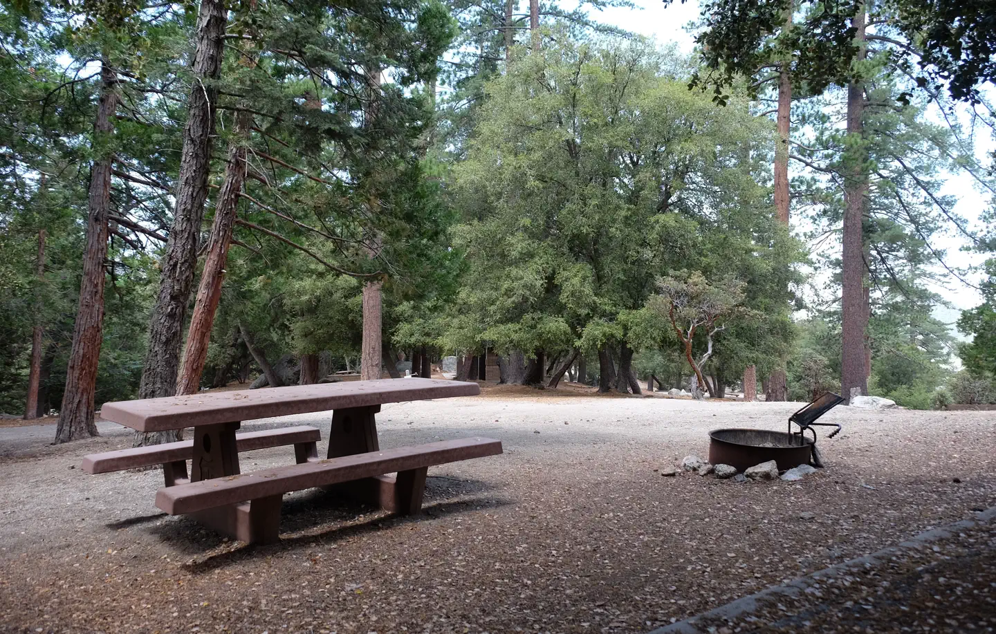 Fern Basin Campground