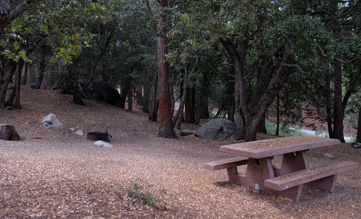 Fern Basin Campground