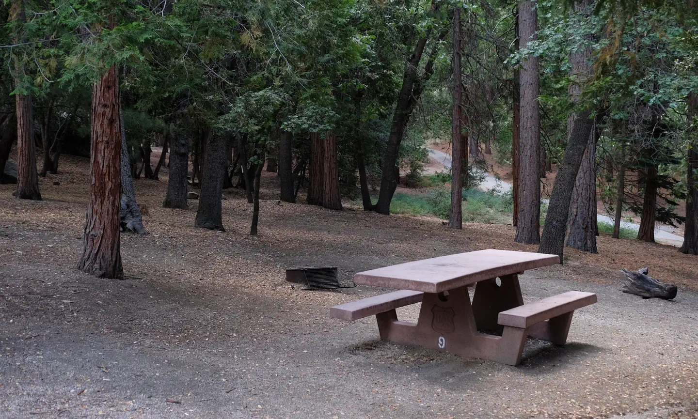 Fern Basin Campground