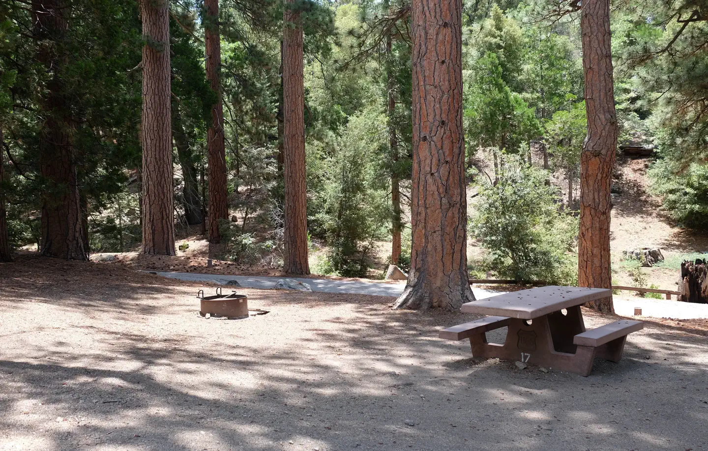 Fern Basin Campground