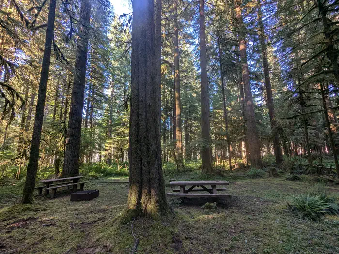 Gold Basin Campground