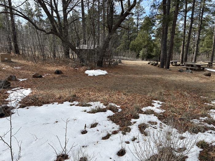 Mingus Mountain Campground