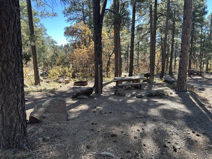 Mingus Mountain Campground