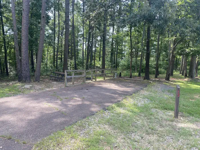 Site 13