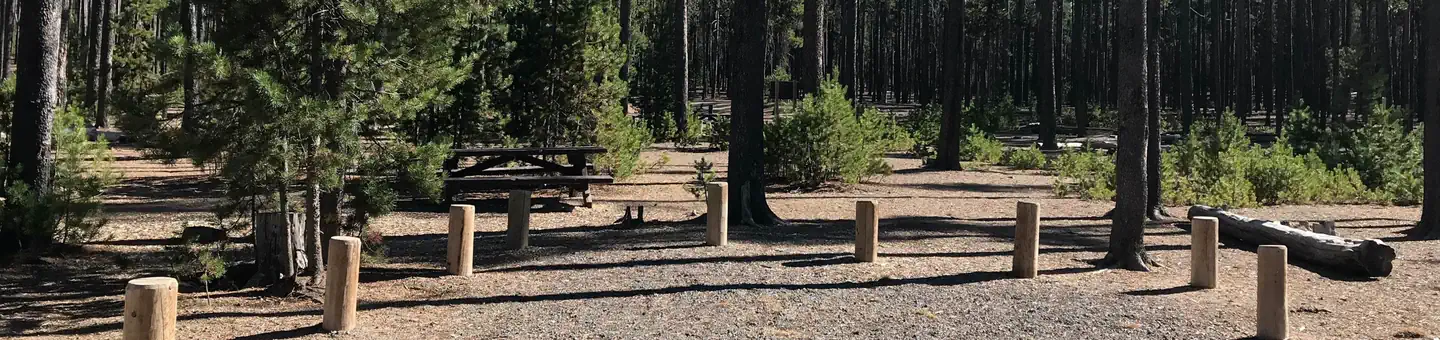 Contorta Flat Campground