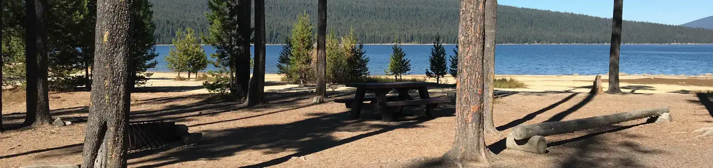 Contorta Flat Campground