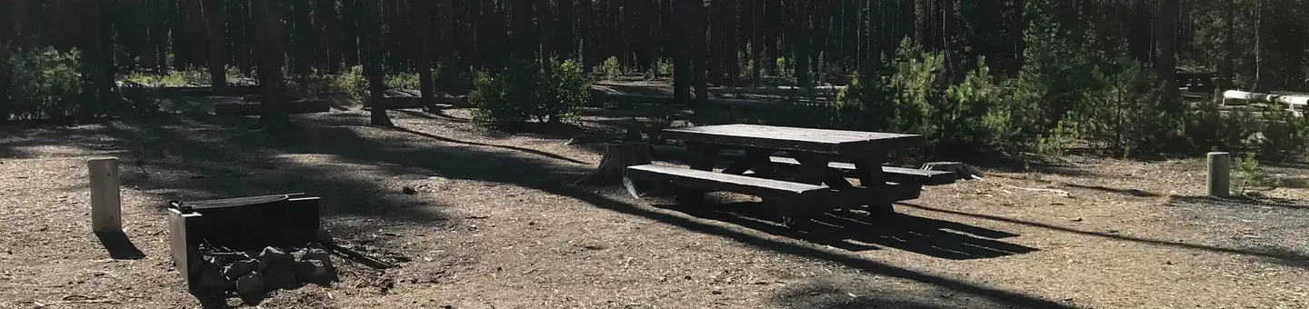 Contorta Flat Campground