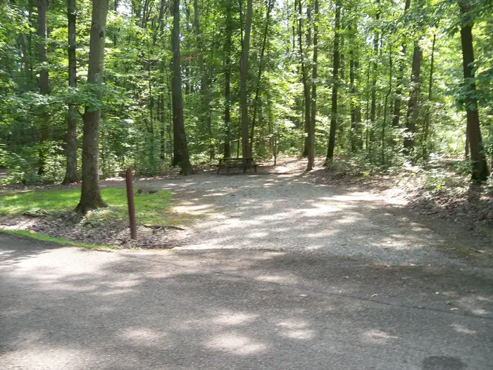 Mill Creek Camping