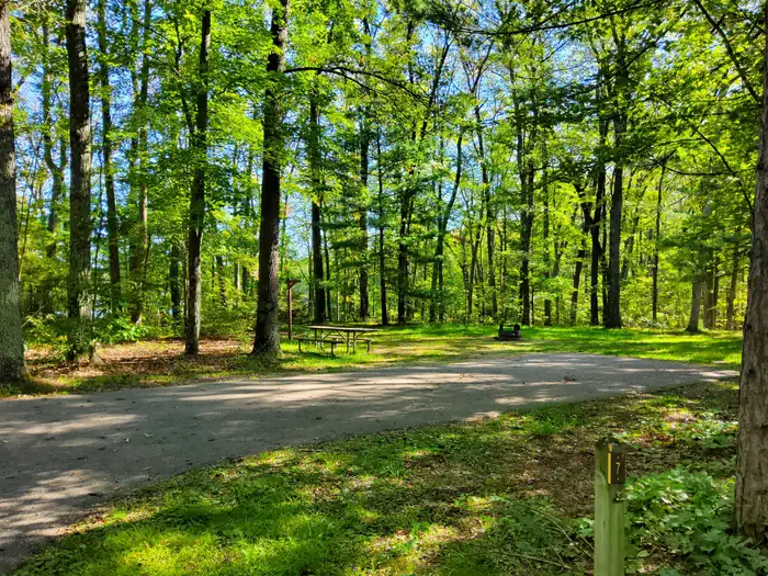 Nichols Lake South Campground