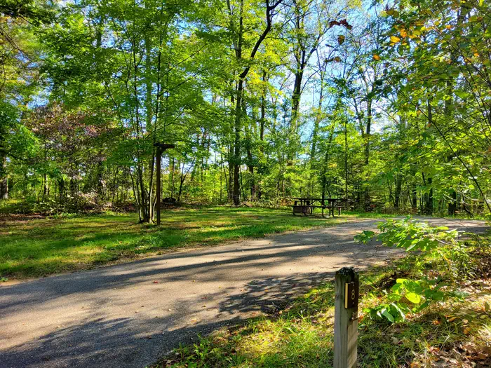 Nichols Lake South Campground