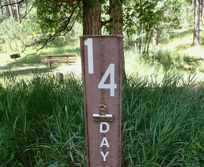 Grizzly Bear Campground