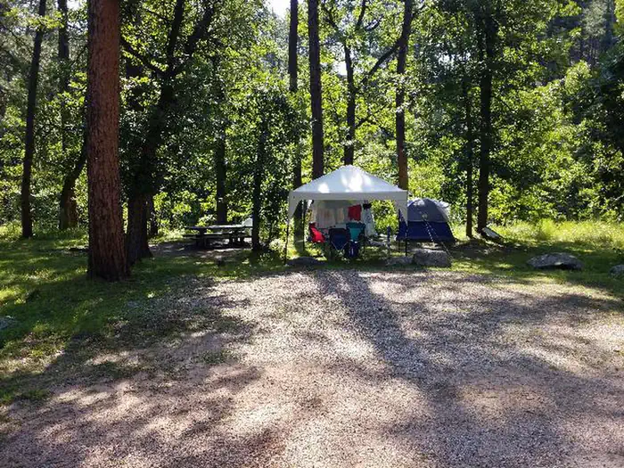 Grizzly Bear Campground