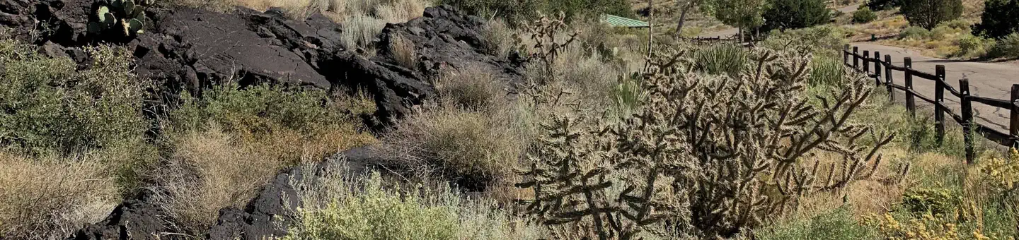 Valley Of Fires Recreation Area
