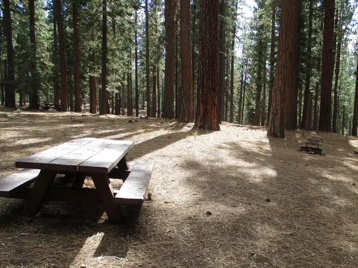 Plumas National Forest Grizzly Campground