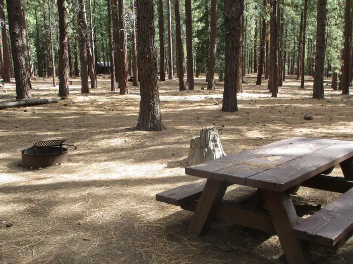 Plumas National Forest Grizzly Campground