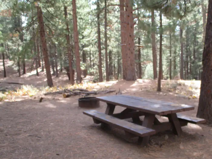 Plumas National Forest Grizzly Campground