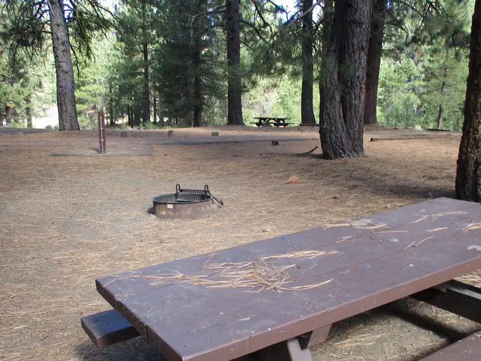 Plumas National Forest Grizzly Campground
