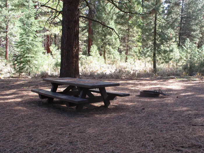 Plumas National Forest Grizzly Campground