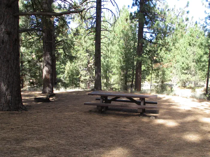 Plumas National Forest Grizzly Campground