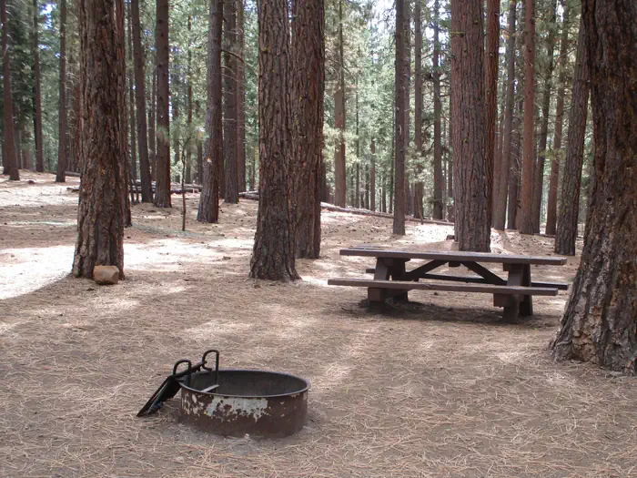 Plumas National Forest Grizzly Campground