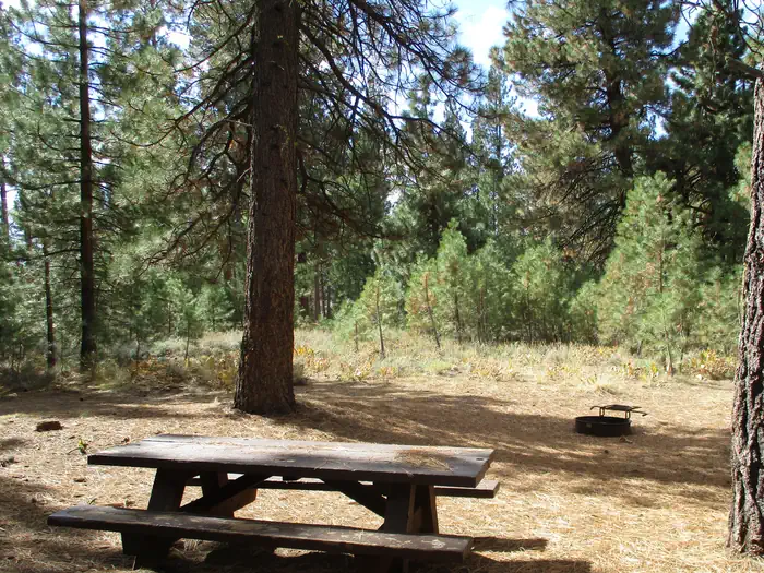 Plumas National Forest Grizzly Campground