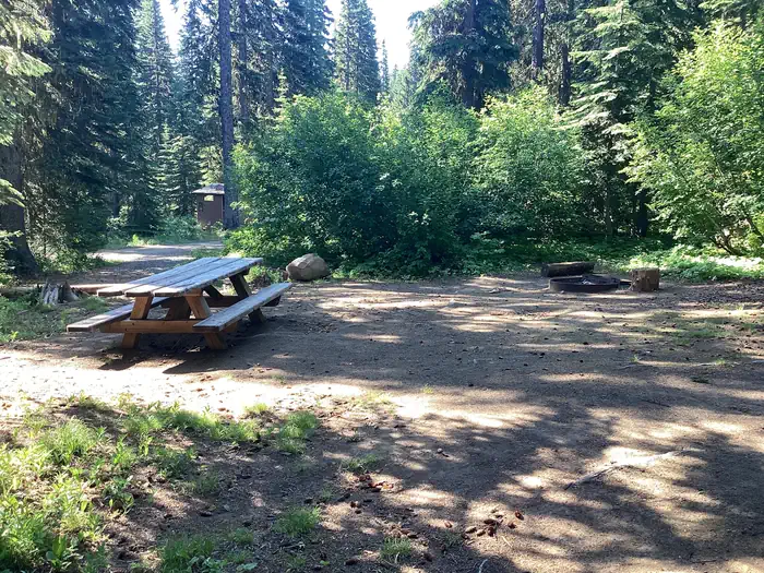 Woodward