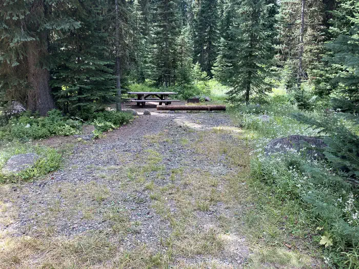 Woodward