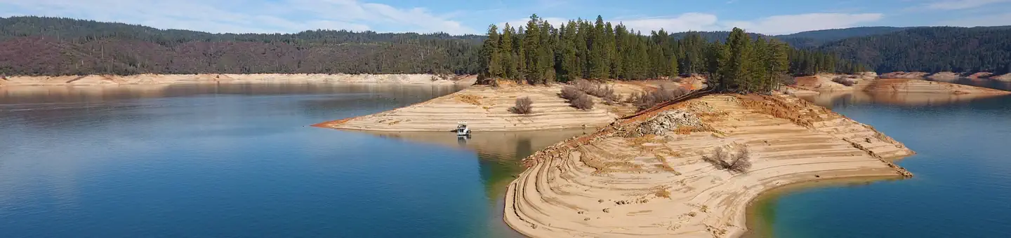 Ponderosa